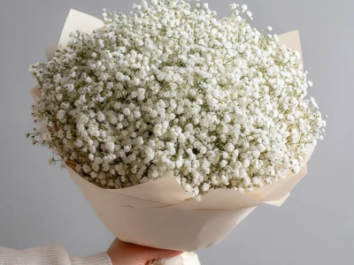 Монобукет из белой гипсофилы