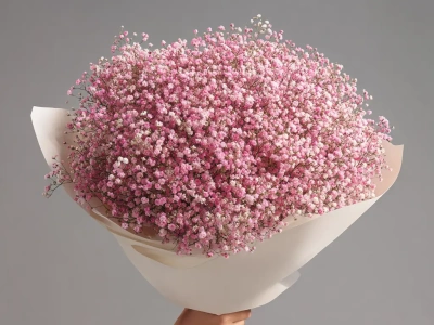 Монобукет из розовой гипсофилы