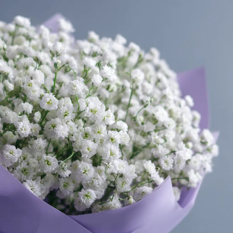 Монобукет из гипсофилы &laquo;Облачная нега&raquo;