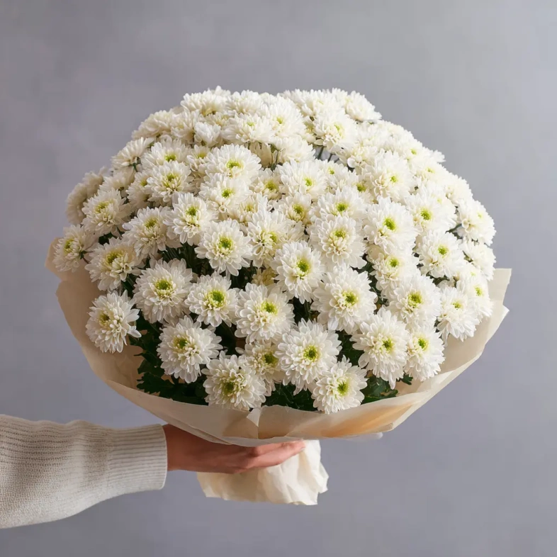 Монобукет из хризантем &laquo;Белое облако&raquo;