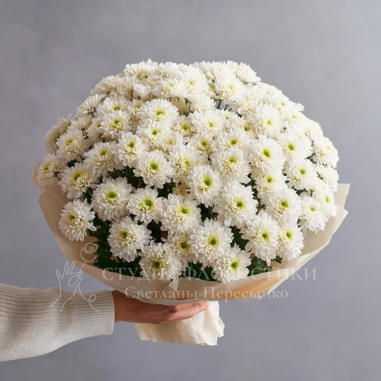 Монобукет из хризантем &laquo;Белое облако&raquo;