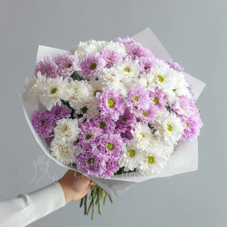 Монобукет из хризантем &laquo;Нежный комплимент&raquo;