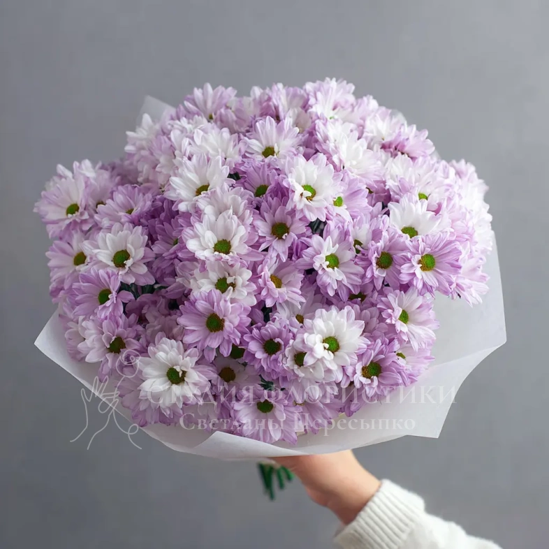 Монобукет из хризантем &laquo;Нежный комплимент&raquo;